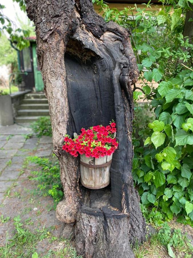 Апартаменты Old Summer House *